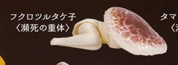 Fukurotsurutake-ko (Dying of poison), Poison Kinoko 2, Ekod Works, Shineg, Trading