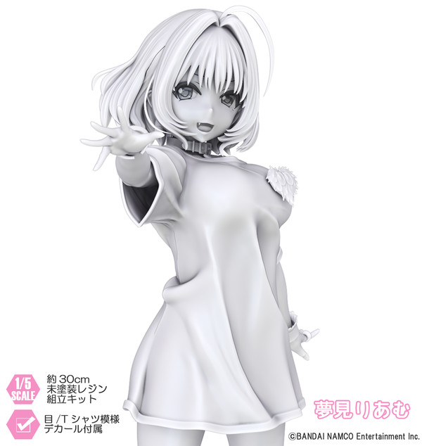 Yumemi Riamu, THE IDOLM@STER Cinderella Girls, Polygonoise, Garage Kit, 1/5