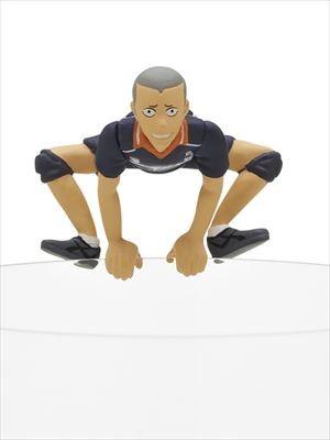 Tanaka Ryuunosuke, Haikyuu!!, Gray Parka Service, Trading
