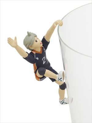 Sugawara Koushi, Haikyuu!!, Gray Parka Service, Trading
