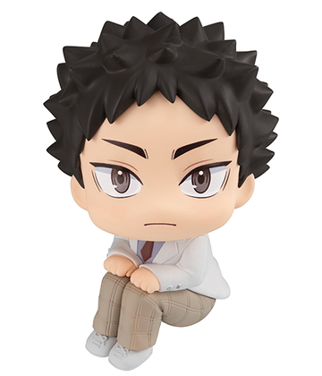 Hajime Iwaizumi (Iwaizumi Hajime), Haikyuu!!, MegaHouse, Pre-Painted
