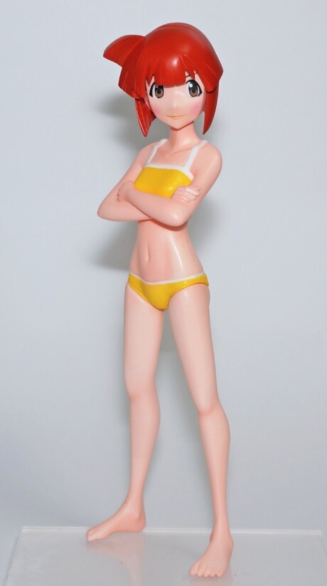 Aizawa Eiko, Shinryaku! Ika Musume, Jisaku Rider, Garage Kit
