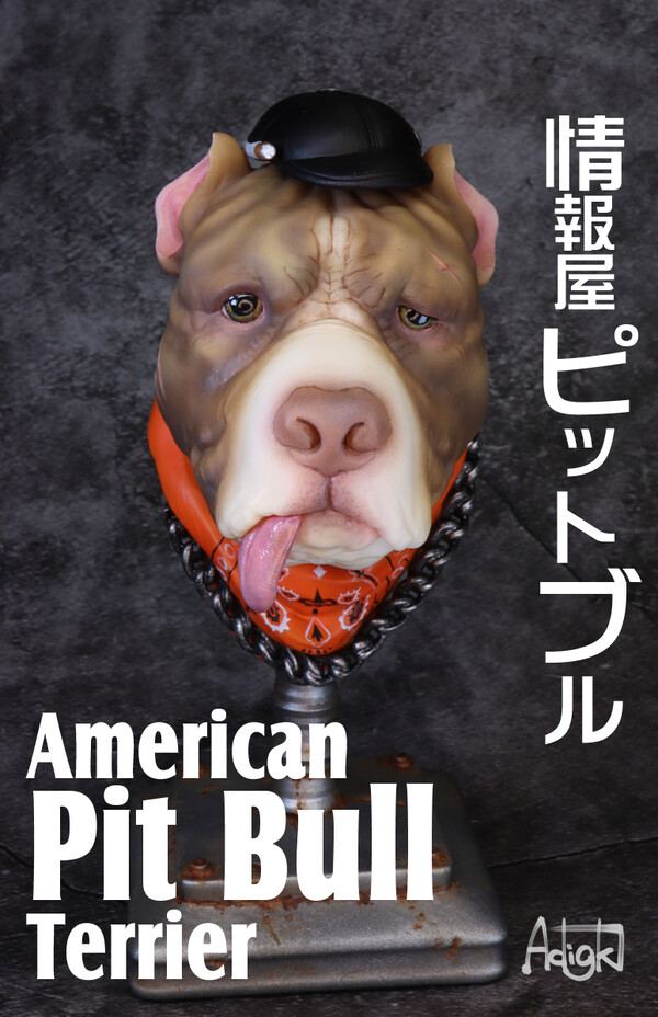 Jouhouya Pitbull, Original, Arsenal D.i, Garage Kit