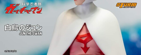 Shiratori no Jun, Kagaku Ninjatai Gatchaman, Storm Collectibles, Action/Dolls, 1/12