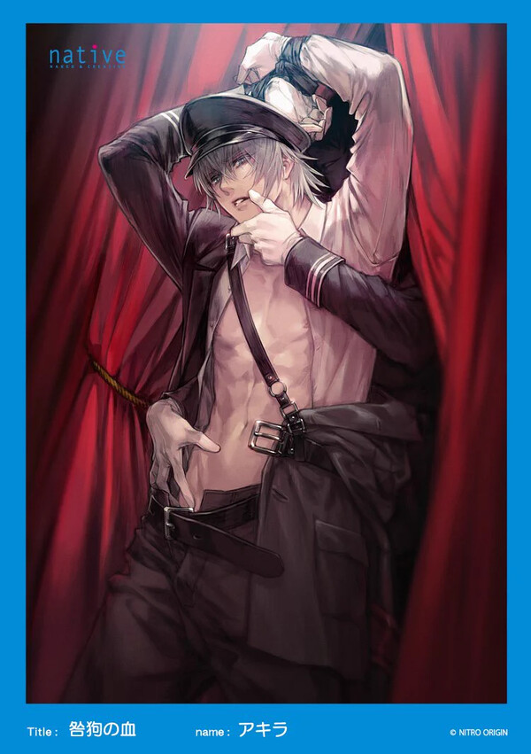 Akira, Togainu No Chi, Native, Pre-Painted