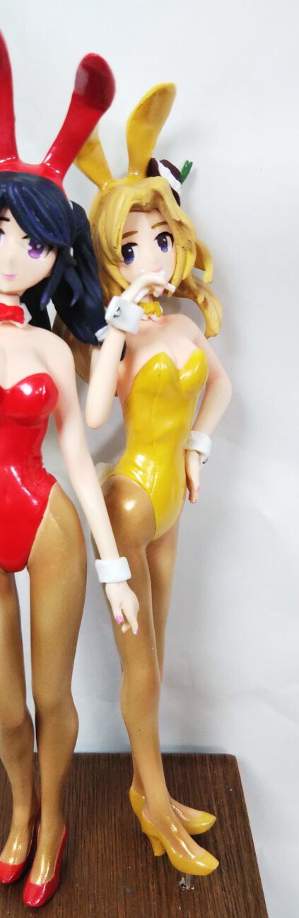 Hourai Ningyou Jacket No Ano Ko (Hourai Bunny), Touhou Project, Negi Shio Zoukei Donburi, Pre-Painted