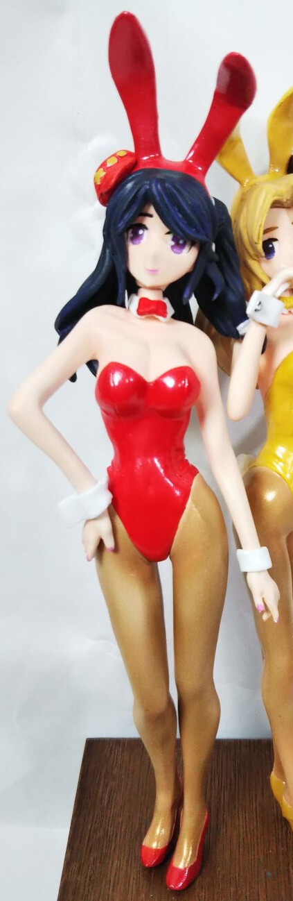 Hourai Ningyou Shohan Label No Ano Ko (Hourai Bunny), Touhou Project, Negi Shio Zoukei Donburi, Pre-Painted