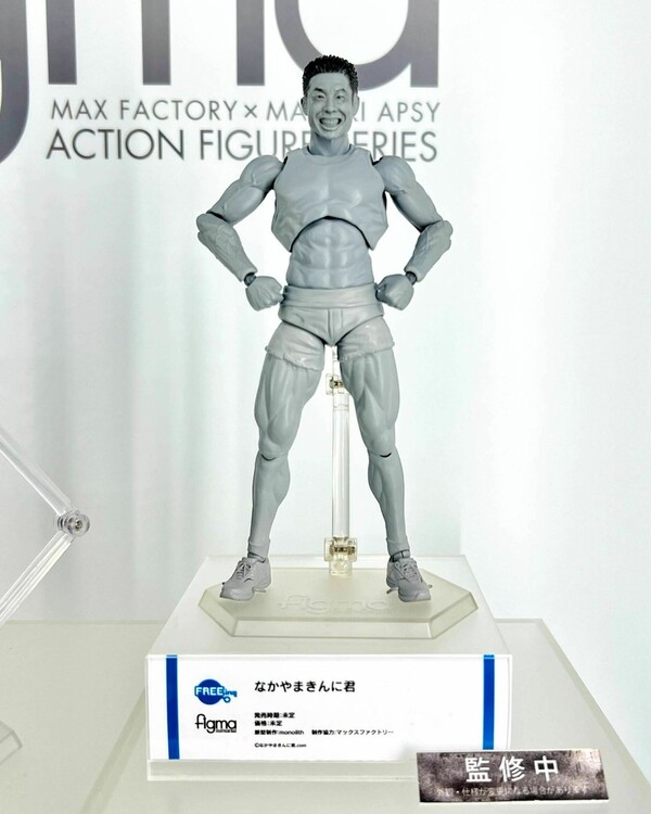 Nakayama Kinni-kun, FREEing, Max Factory, Action/Dolls