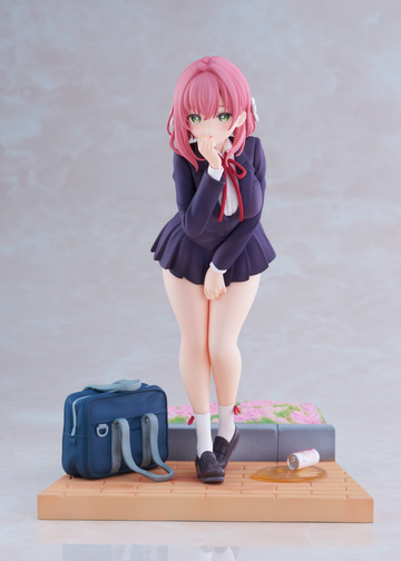 Hanazono Hakari, Kimi No Koto Ga Daidaidaidaidaisuki Na 100-nin No Kanojo, PLUM, Pre-Painted, 1/7