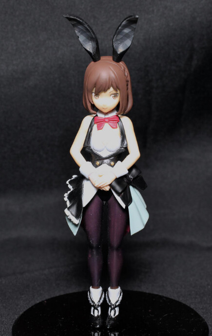 Sutegoro Shiina (Bunny), Alice Gear Aegis, Poly-Toys, Garage Kit