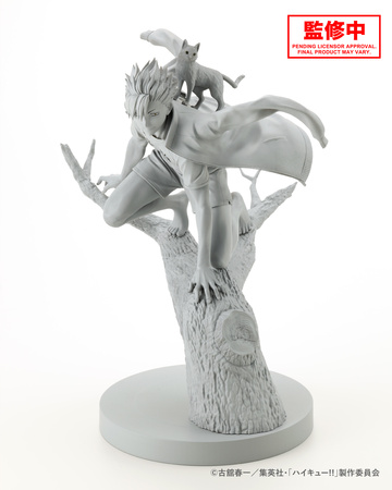 Kuroo Tetsurou, Haikyuu!!, Kotobukiya, Pre-Painted