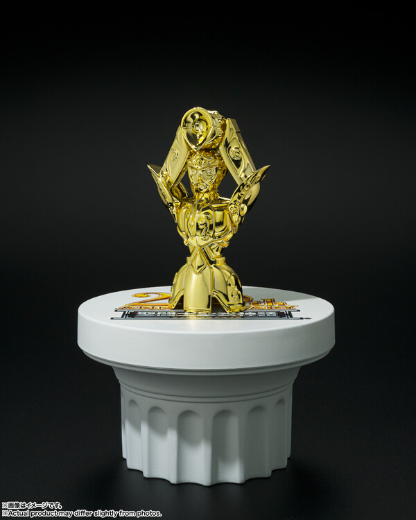 Aquarius Cloth Object (20th Anniversary), Saint Seiya, Bandai Spirits, Pre-Painted