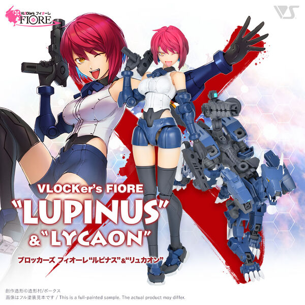 LUPINUS & LYCAON, Volks, Model Kit