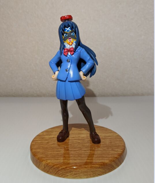 Peyket (JK), Heybot!, Zoku Genmai Teion Chozoko, Garage Kit