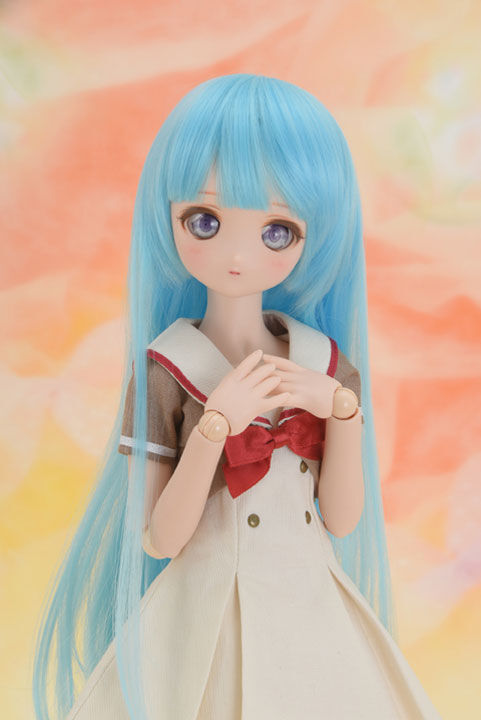 DDH - 18 Pre-painted Head, Volks, Accessories