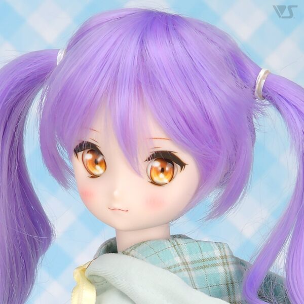 DC-H-21 Pre-Painted Head, Volks, Accessories, 1/3
