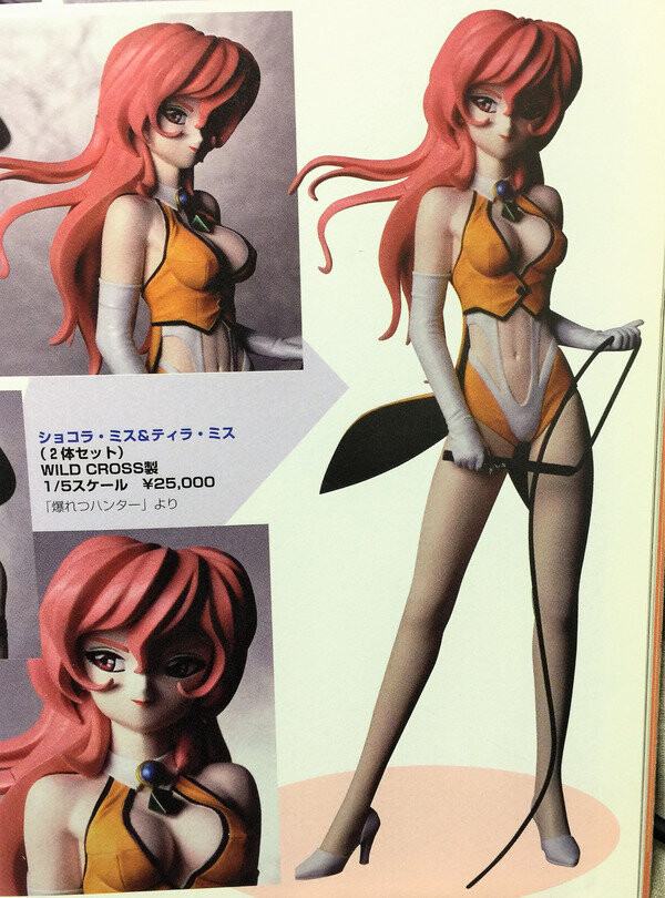 Tira Misu, Bakuretsu Hunters, WILDCROSS TEKE², Garage Kit, 1/5