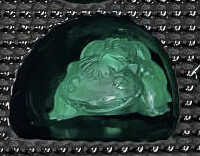 Fushigibana (Clear Green), Pocket Monsters, Bandai, Trading, 4902425558394