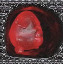 Lucky (Clear Red), Pocket Monsters, Bandai, Trading, 4902425558387
