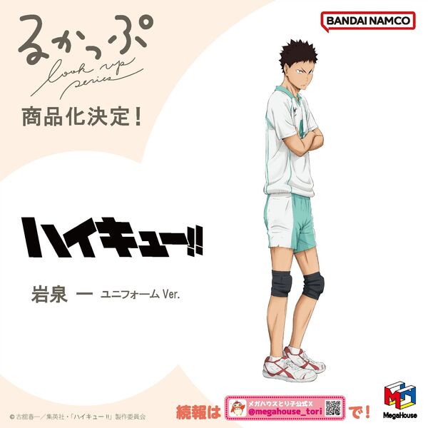 Iwaizumi Hajime (Uniform), Haikyuu!!, MegaHouse, Pre-Painted