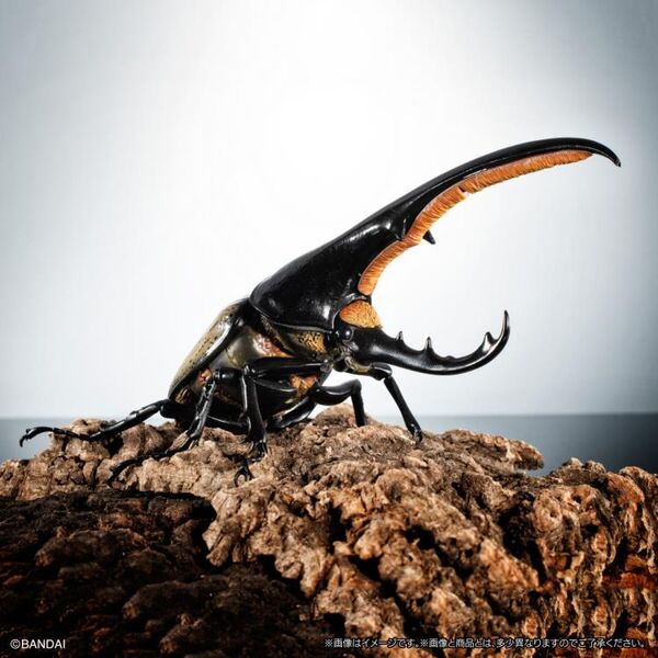 The Diversity Of Life On Earth Premium: Hercules Beetle, Bandai, Action/Dolls, 4549660757535