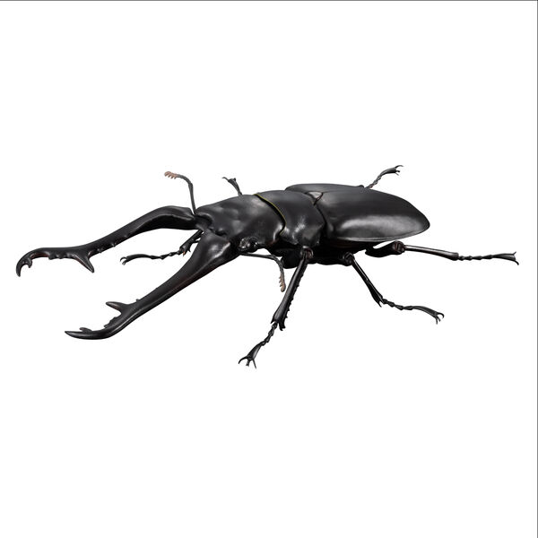 Premium Living Creature Encyclopedia: Giraffe Stag Beetle, Bandai, Action/Dolls, 4549660589334