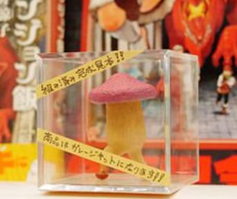 Arukikinoko, Dungeon Meshi, Union Creative International Ltd, Garage Kit