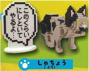 Cat (Shacho (buchi)), Unknown, Trading