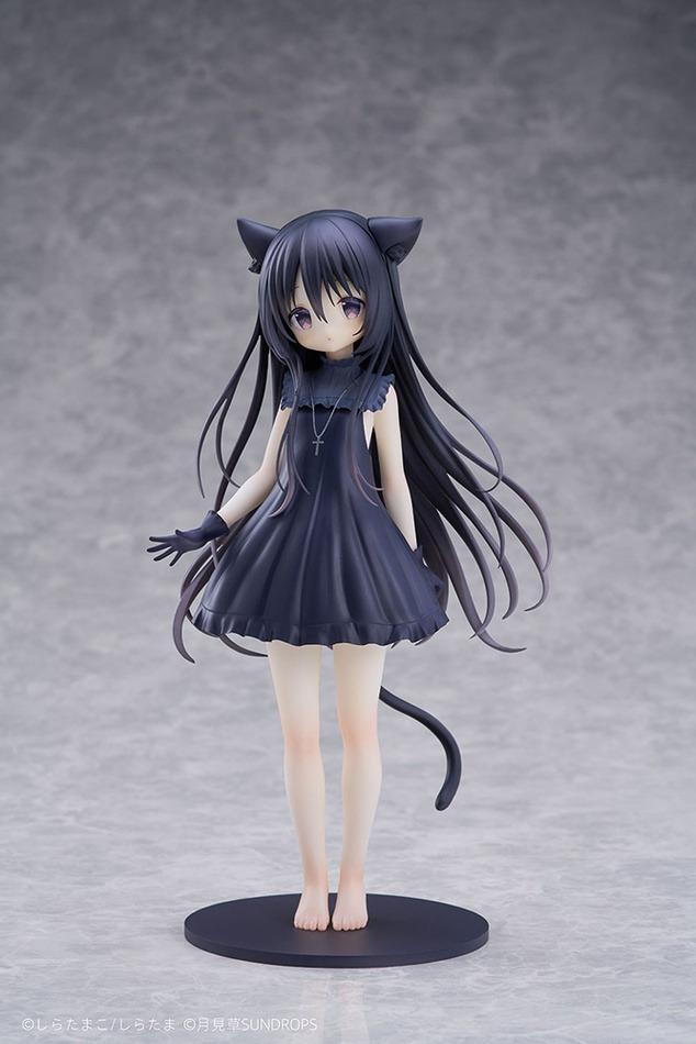 Noir, Hoshizora Tetsudou To Shiro No Tabi, Unknown, Pre-Painted, 1/7