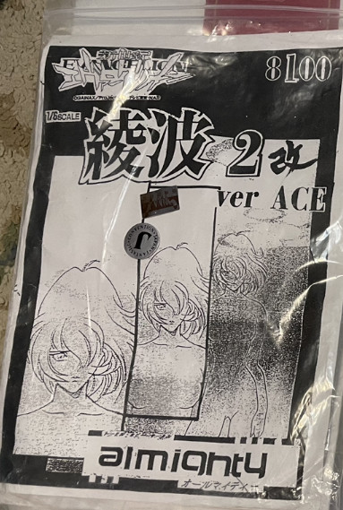 Ayanami Rei, Shin Seiki Evangelion, almighty, Garage Kit, 1/6