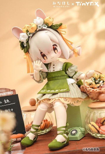 Minahoshi-chan (Minahoshi), Art By Mochiyama Kingyo (kameyama), Unknown, Action/Dolls, 1/6