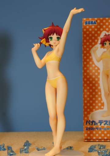 Minami Shimada (Shimada Minami Poolside), Baka To Test To Shoukanjuu, SEGA, Pre-Painted, 1/8