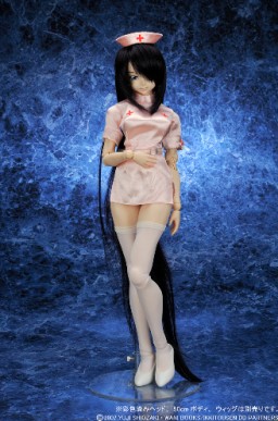 Nurse Uniform, Ikki Tousen, Yamato, Accessories