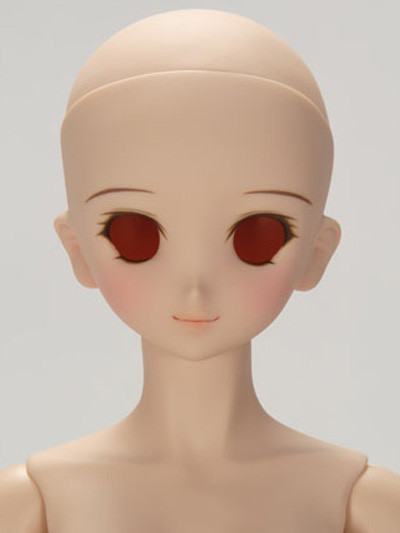 DDH-06 Pre-Painted Head, Volks, Accessories, 1/3