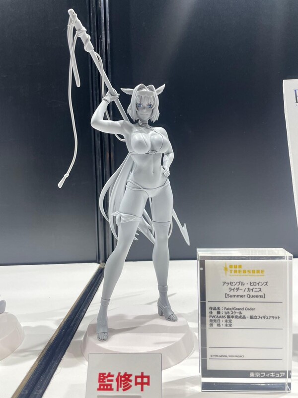 Caenis (Rider), Fate/Grand Order, Our Treasure, Pre-Painted