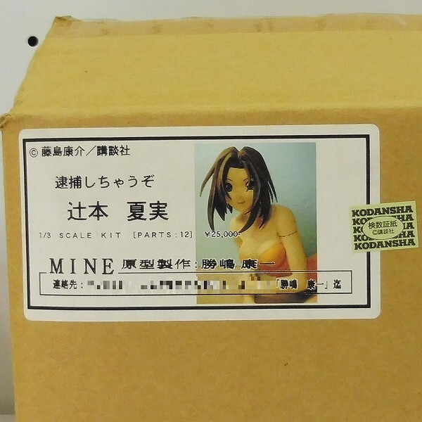 Tsujimoto Natsumi, Taiho Shichauzo, Mine, Garage Kit, 1/3