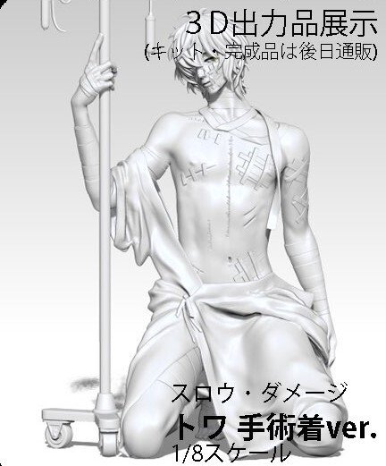 Towa (Shujutsugi), Slow Damage, Onigiri, Garage Kit, 1/8