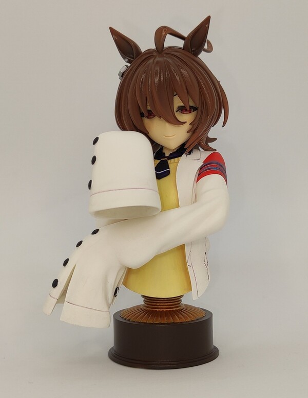 Agnes Tachyon, Uma Musume: Pretty Derby, Gaki, Garage Kit