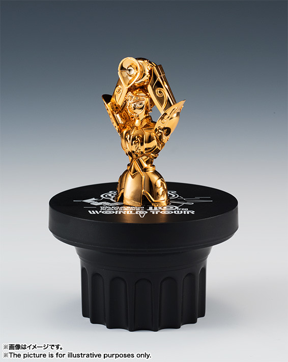 Aquarius Cloth Object (World Tour), Saint Seiya, Bandai, Pre-Painted, 4549660165668