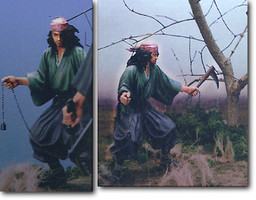 Shishido Baiken, Vagabond, Fewture, Pre-Painted