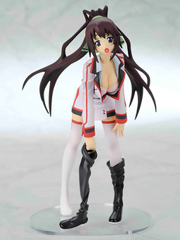 Shinonono Houki, IS: Infinite Stratos, Media Factory, Pre-Painted, 1/10, 4935228104314