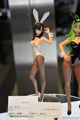 Nichi Keito (Bunny girl), Star Driver: Kagayaki No Takuto, Bandai, Pre-Painted