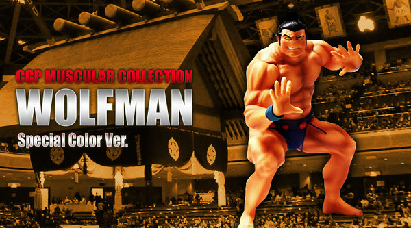 Wolfman (Special Color (Yellow Skin)), Kinnikuman, Kinnikuman Nisei, CCP, Pre-Painted