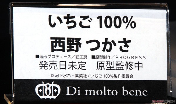 Nishino Tsukasa, Ichigo 100%, Di molto bene, Pre-Painted