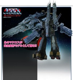 SDF-1 Macross (Do You Remember Love?), Choujikuu Yousai Macross, Wave, Action/Dolls, 1/5000