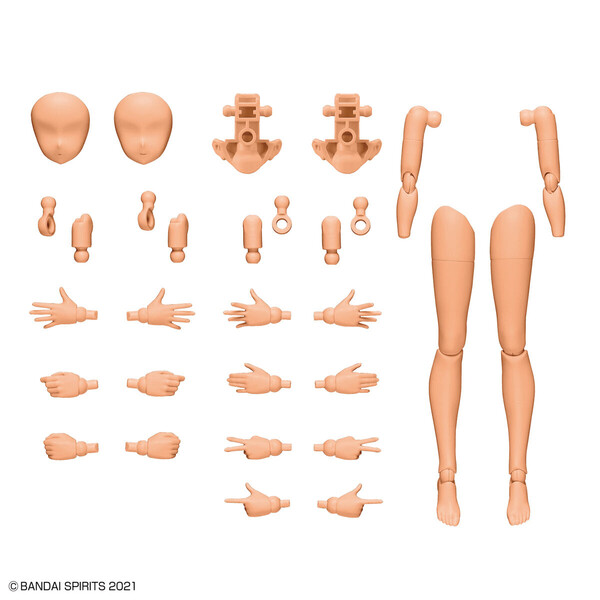 Arm Parts & Leg Parts (Color C), Bandai Spirits, Accessories, 4573102639431