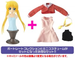 Sanzenin Nagi (Resinya! Portrait Collection Starter Set), Hayate No Gotoku!, Cospa, Action/Dolls, 1/6