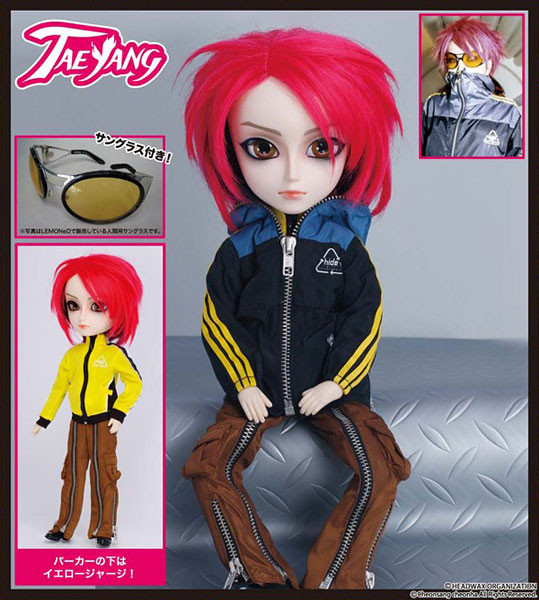 hide, Groove, Action/Dolls, 1/6, 4560373822266