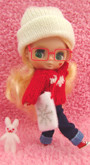 Wintery Wonder (Toys ‘R Us Limited Ed), Hasbro, Takara, Action/Dolls