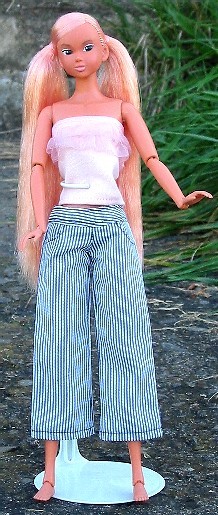 Momoko Doll [107439] (03PSC3), Petworks, Action/Dolls, 1/6
